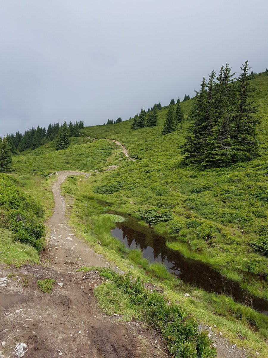 pstanisl's tweet photo. Jsem sice zasraný jak jetel, ale co to božíííí #Hacklbergtrail #saalbach #Hinterglemm #bike https://t.co/oSXu6oB82O