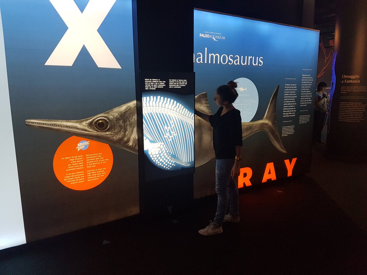 ettspa's tweet photo. Da oggi apre a Genova la mostra  #Paleoaquarium il mare al tempo dei dinosauri. Preistoria e tecnologia all'@AcquarioGenova fino a marzo https://t.co/QM77K8yv0X