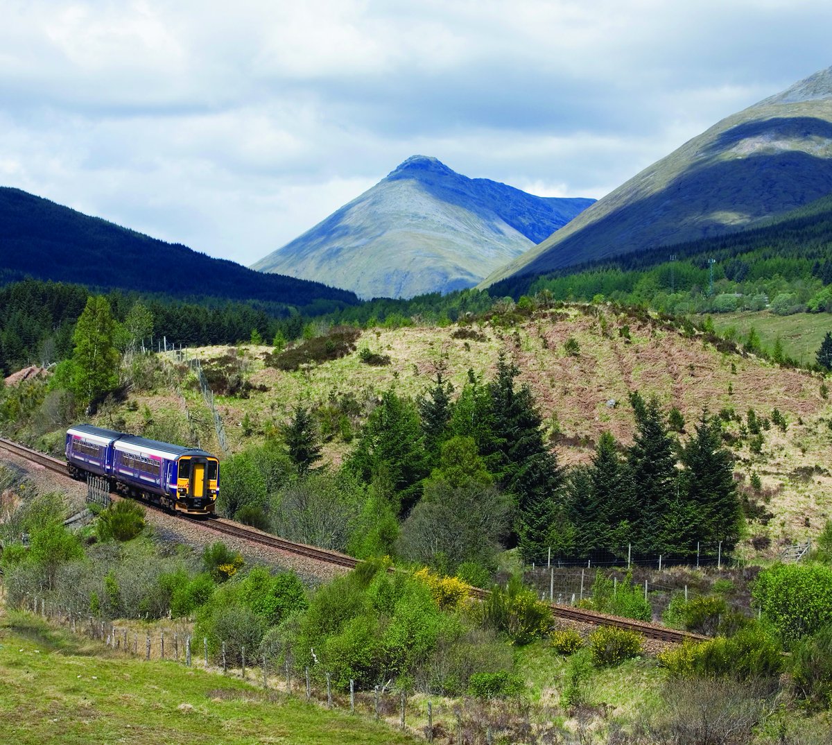 The Ecology of Others 2013