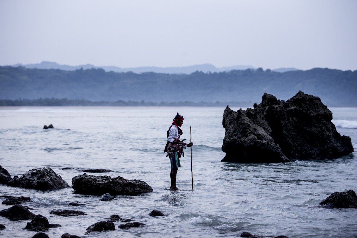 jamesmorganfoto's tweet photo. A ratu (shaman) waits in the ocean for the arrival of the Nyale (sea worms). #Pasola #Sumba #Indonesia #Nyale https://t.co/atVcelykrG