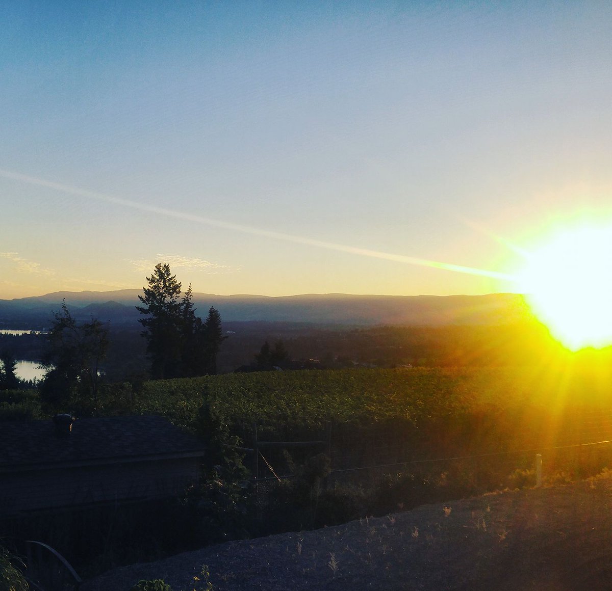atlskelowna's tweet photo. Beautiful Kelowna morning for the @interiorsavings #ATLSwim! https://t.co/PRI86Pogtr