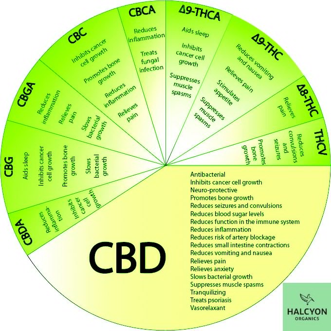 cookie_nemnms's tweet photo. The wheel of life. https://t.co/Gr2ssDwsEl