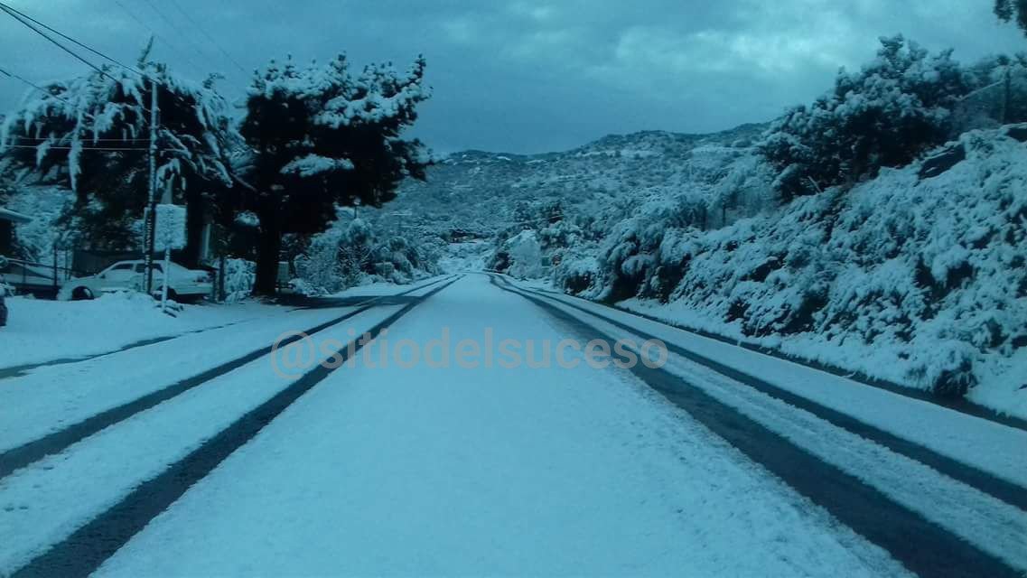 Sitio del Suceso SDS tweet media