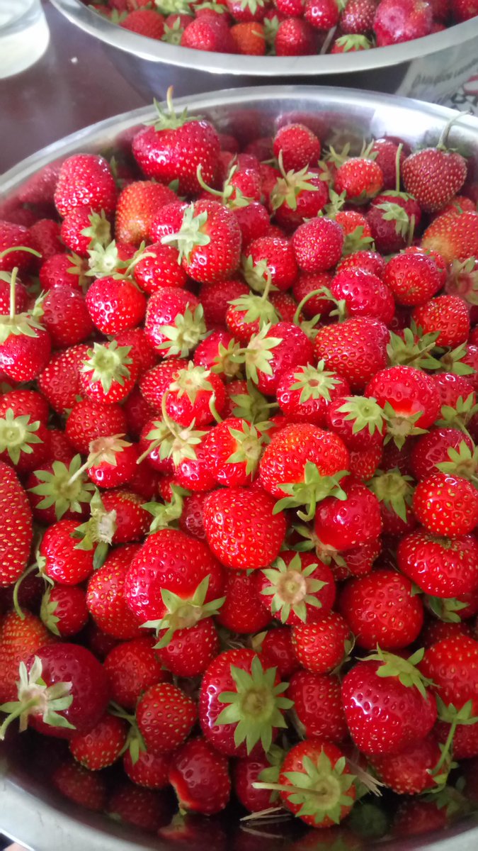 Time to make some strawberry jam :)