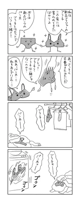 あるパンツとブラジャーの物語 