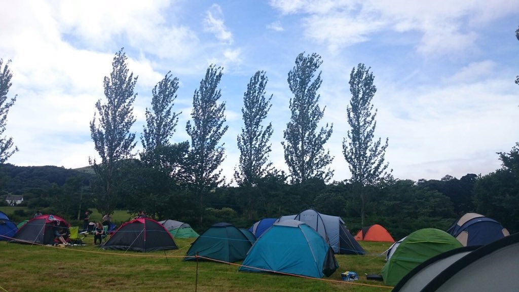 Wild About Websites tweet media