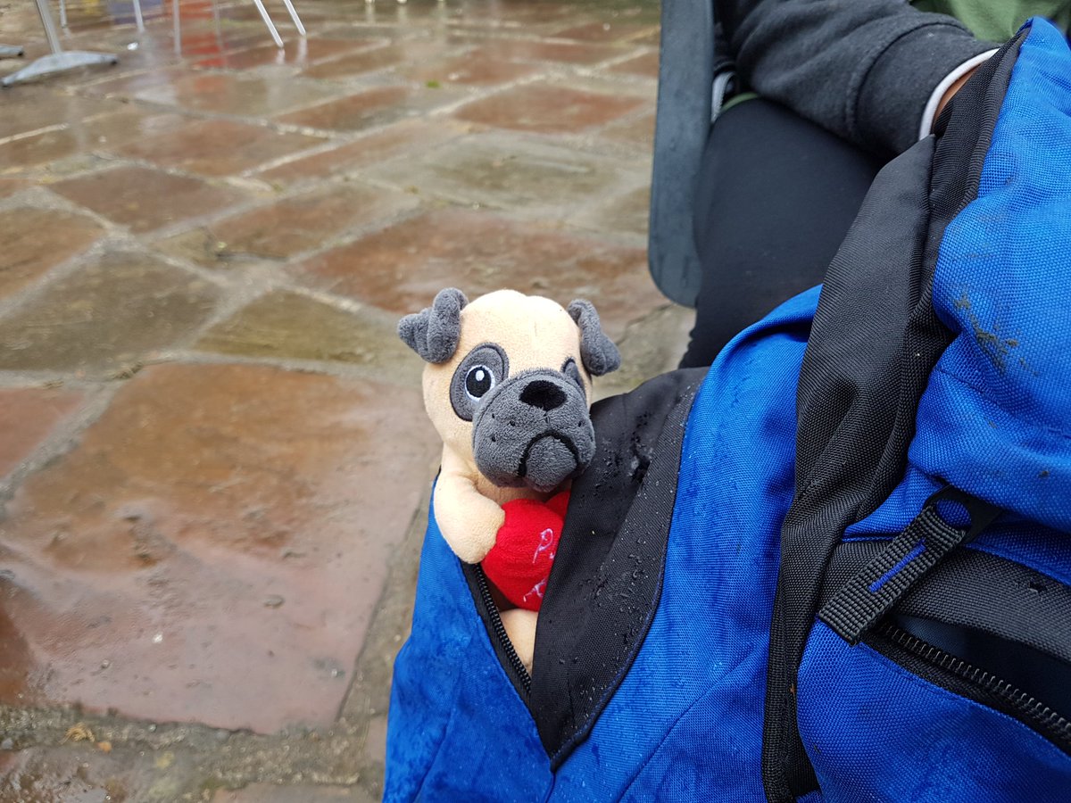Northcol75's tweet image. Turns out one of the teams had a stowaway. #DofEproblems
