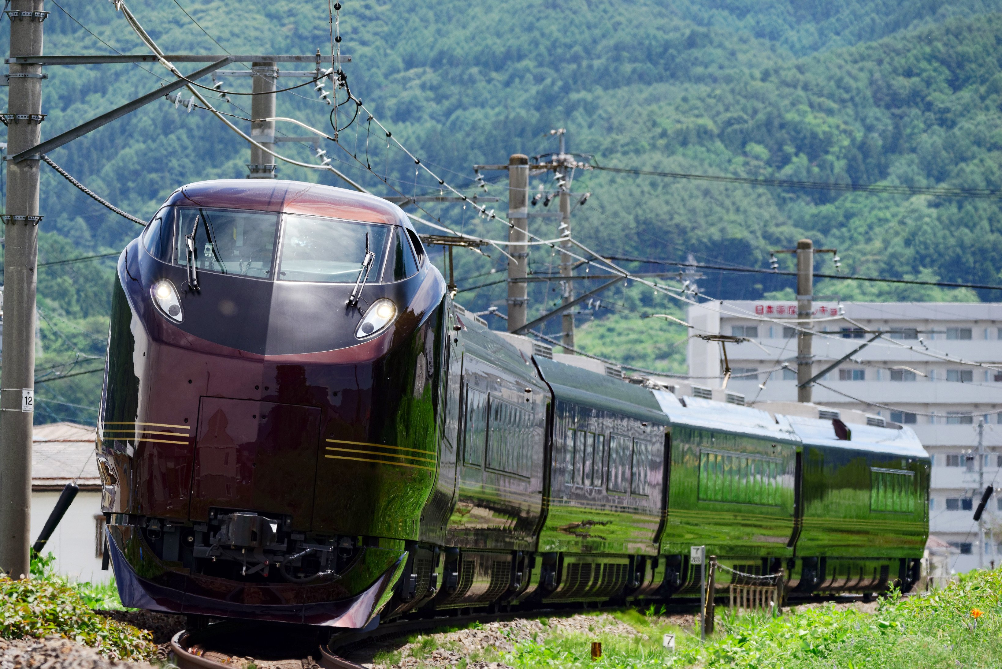 さちどんΣ└|∵|┐🟢🐧🌻🐻🍉🐗 on X: 