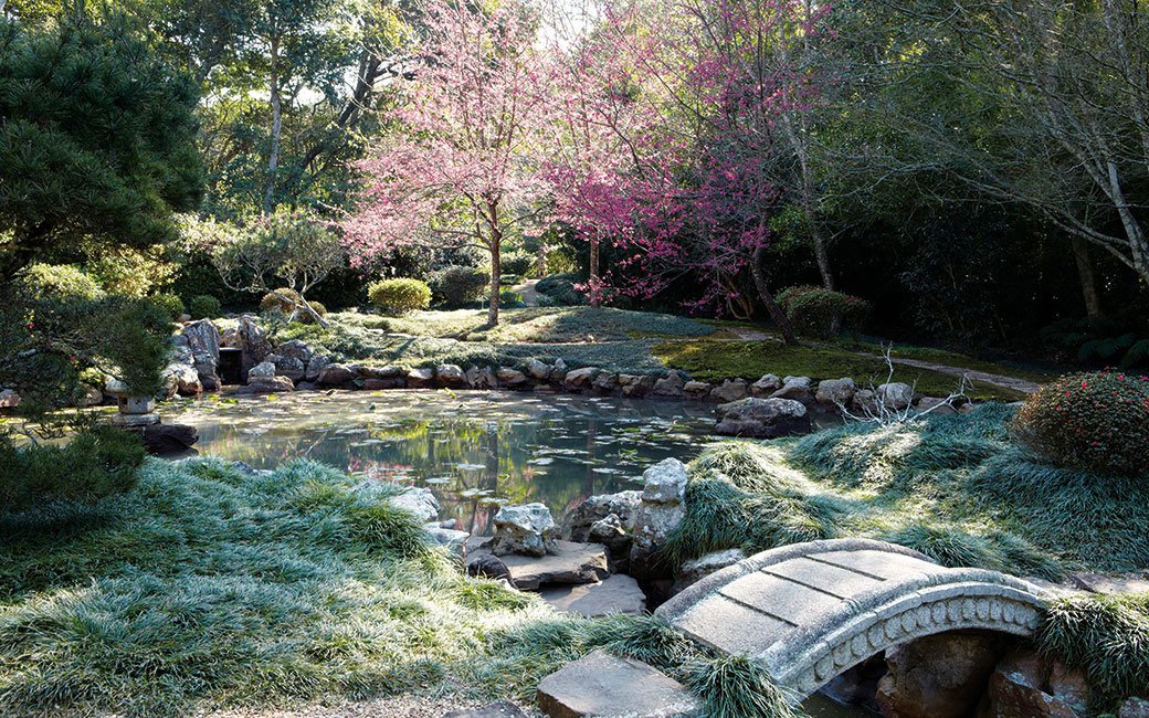 houseleisureSA's tweet image. Makaranga is one of Durban’s best-kept secrets - a magical, 30-acre private botanical garden: bit.ly/2kzorqn