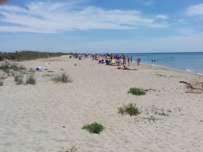 View image on Twitter