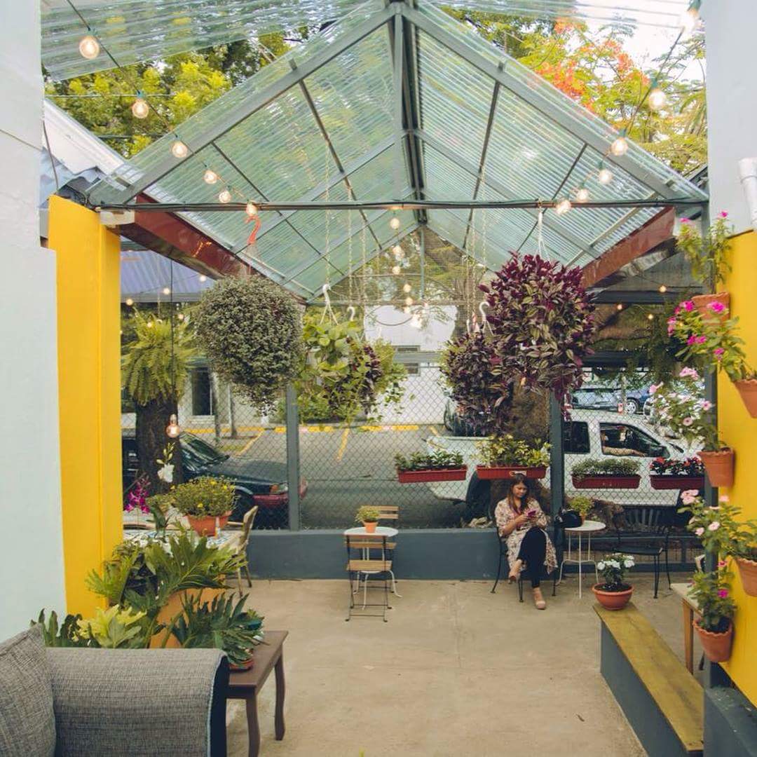 zorisleidy's tweet photo. #ElPatioDeUma un Bar para relajarte, tomarte unas copas o café, puedes traer tus mascotas y de paso intercambiar libros #BookSwapping https://t.co/MsPrUa96sA