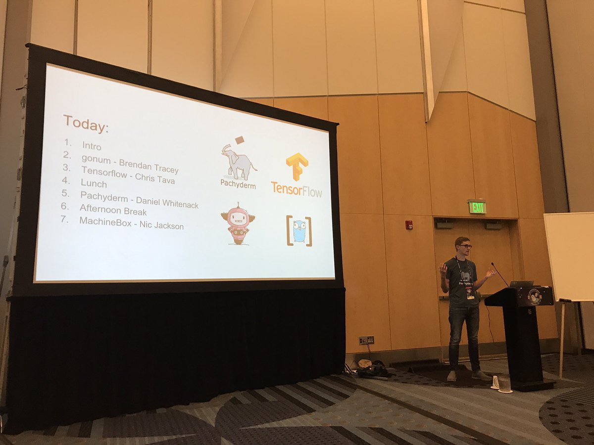 ctava1's tweet image. Let's get this party started.🎉🤓@dwhitena @brendantracey @sheriffjackson @GopherCon @GopherDataIO