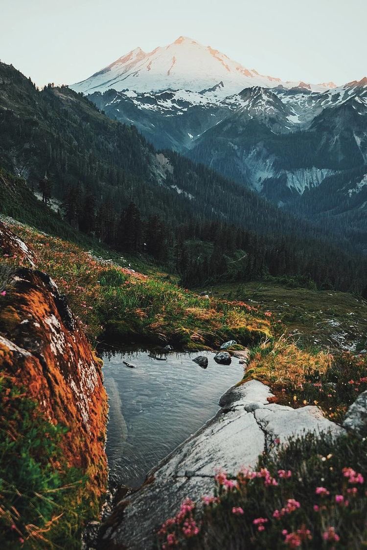 coffee_n_mtns's tweet photo. Pacific Northwest https://t.co/zyUiU586lp
