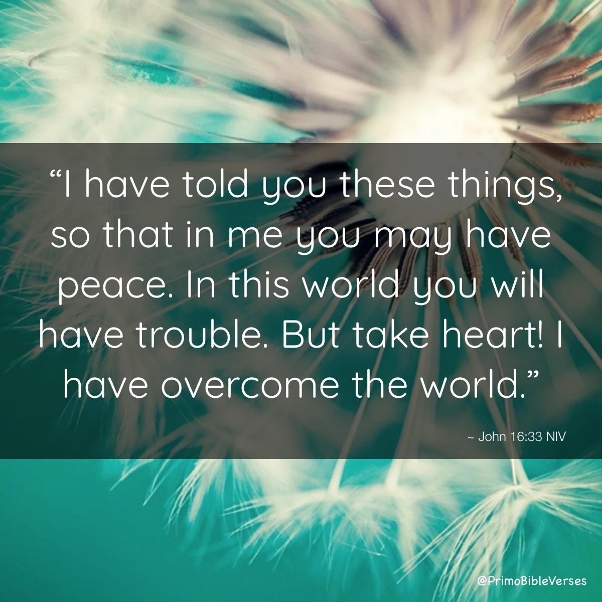 Primobibleverses John 16 33 Niv Bible Bibleverse John Beinghappyverses Corruptionverses T Co Ndrxyji0wu Primobibleverses John 16 33 Niv Bible Bibleverse John Beinghappyverses Corruptionverses T Co Ndrxyji0wu