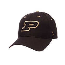 repPurdue's tweet photo. Hour 1 of #NationalGiveSomethingAwayDay! Retweet for a chance to win this #repPurdue hat from @zephyrhats. https://t.co/ujWtXe8Hxg