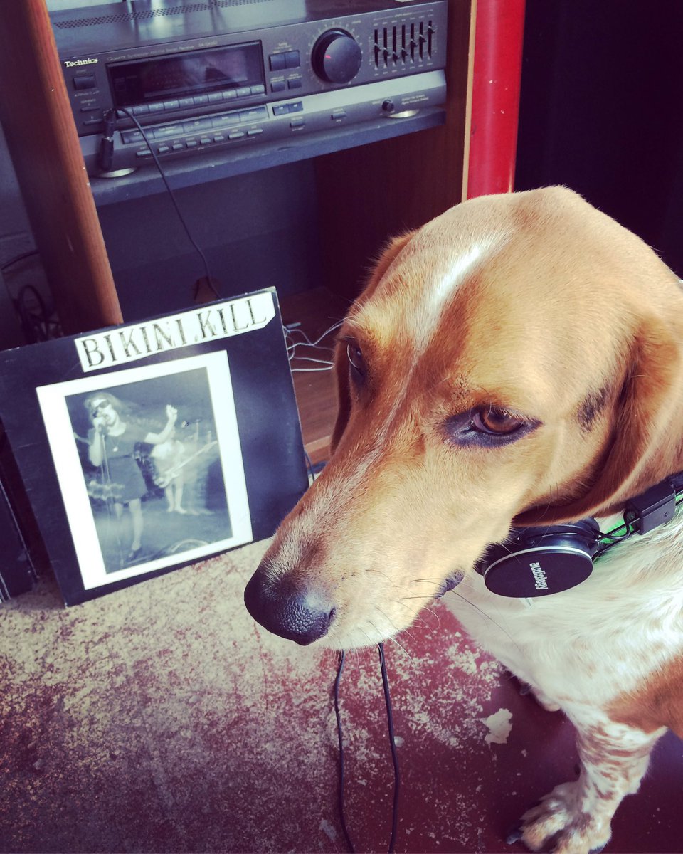 Now Spinning: Bikini Kill "Self Titled". Now greeting customers: Jasper The Punk Lovin' Hound. #nowspinning #shopdog