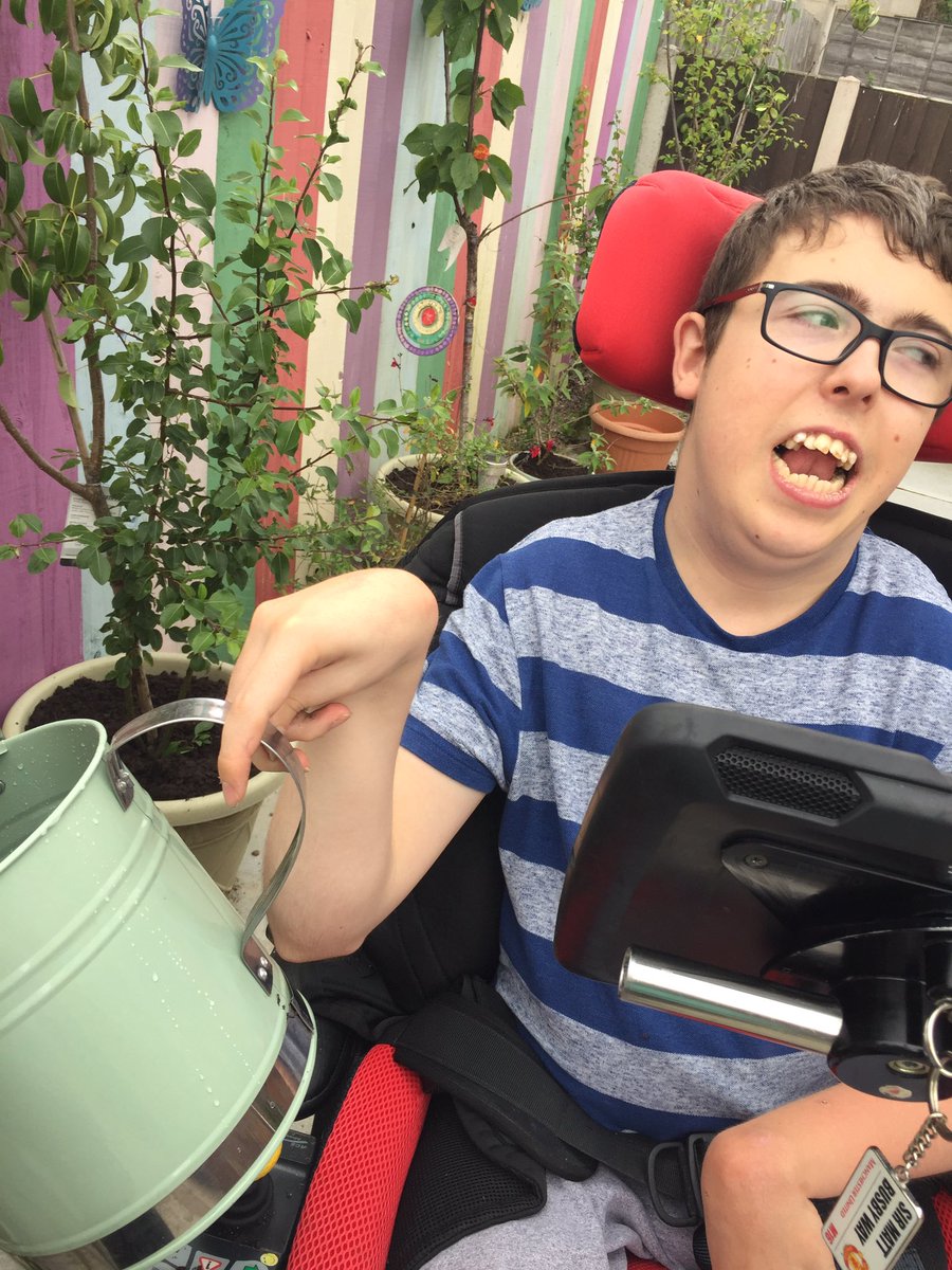 zackyboy14's tweet image. Helping in the garden in the sun @3LCare @kristiannekerr @welshmanupnorth @Linds_bluepeter