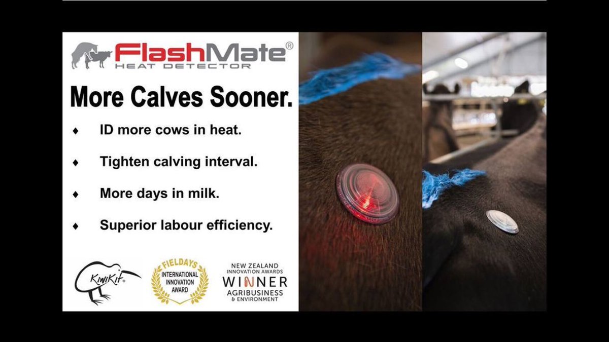 MasseyRob's tweet photo. One missed heat can cost £113 per cow at an average of 20ltrs over 21days @ 27ppl. £7.20 for FlashMate can save £113 per cow. #FlashMate https://t.co/16AwSQhvag