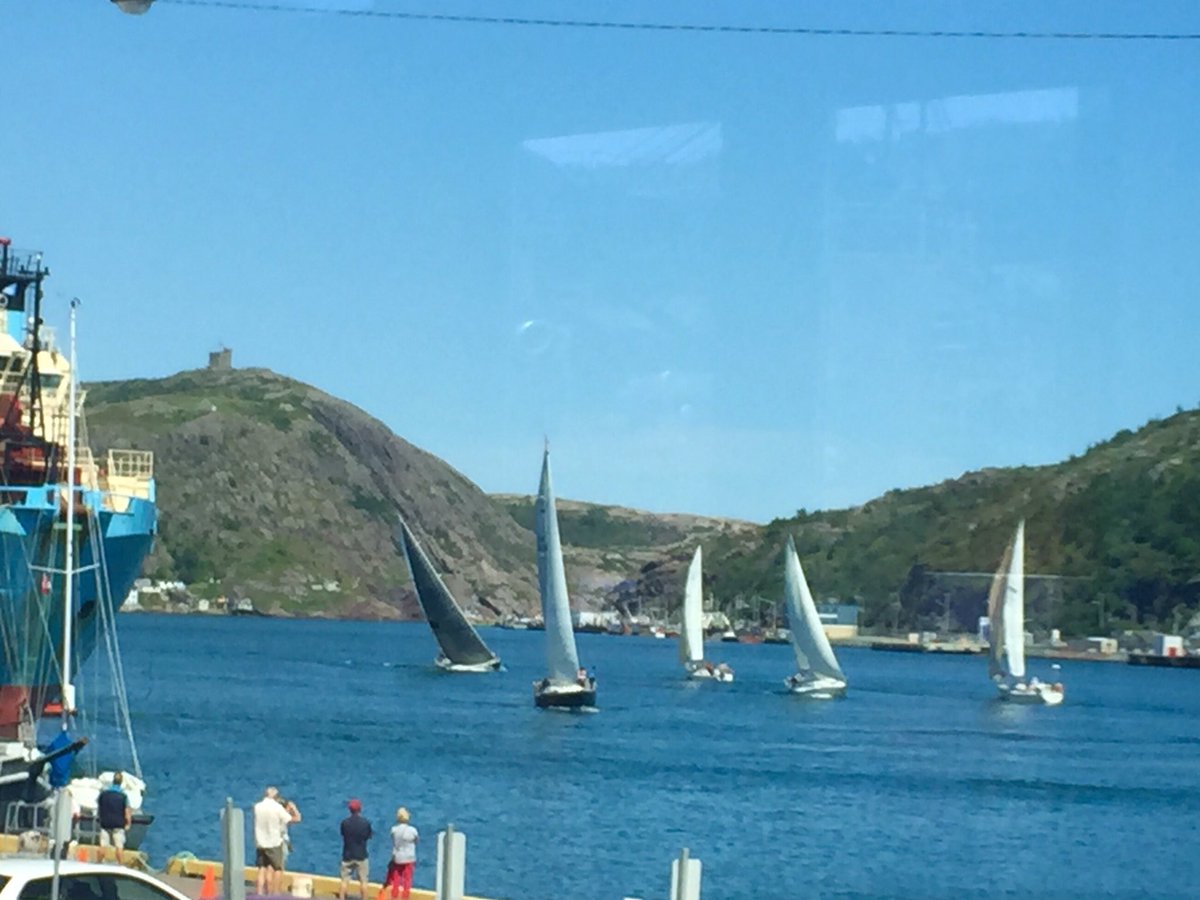 Melissa Royle (@melissaroyle) | Twitter