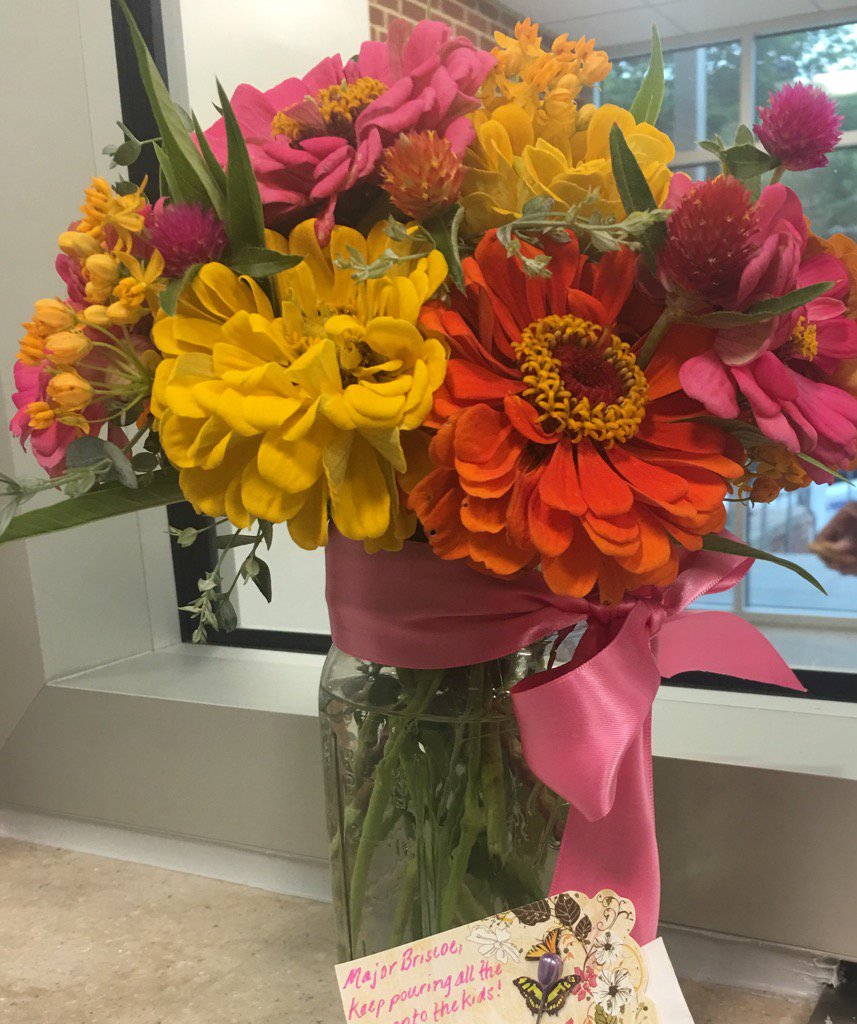 sheree_briscoe's tweet photo. This surprise brightened my day. I hope it does the same for you !! We can all use a smile. Thank you.#WDSTRONG!! https://t.co/QPNDyDDz99