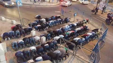 #اغضب_للأقصى صلاة المغرب في باب العامود بالقدس المحتلة، جراء إغلاق الاحتلال للمسجد الأقصى المبارك.