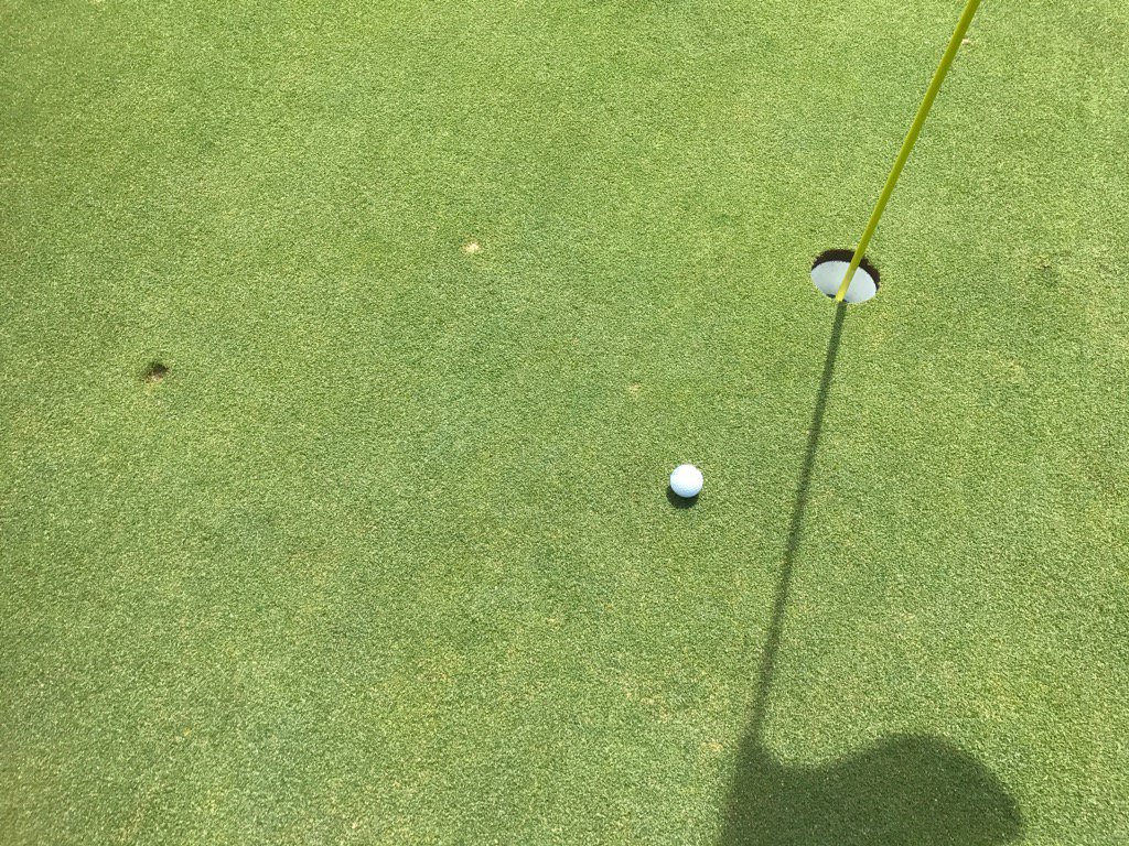 Dave Griesbauer tweet media