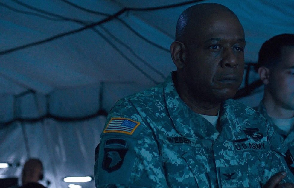 A Happy Birthday Shout-Out to  