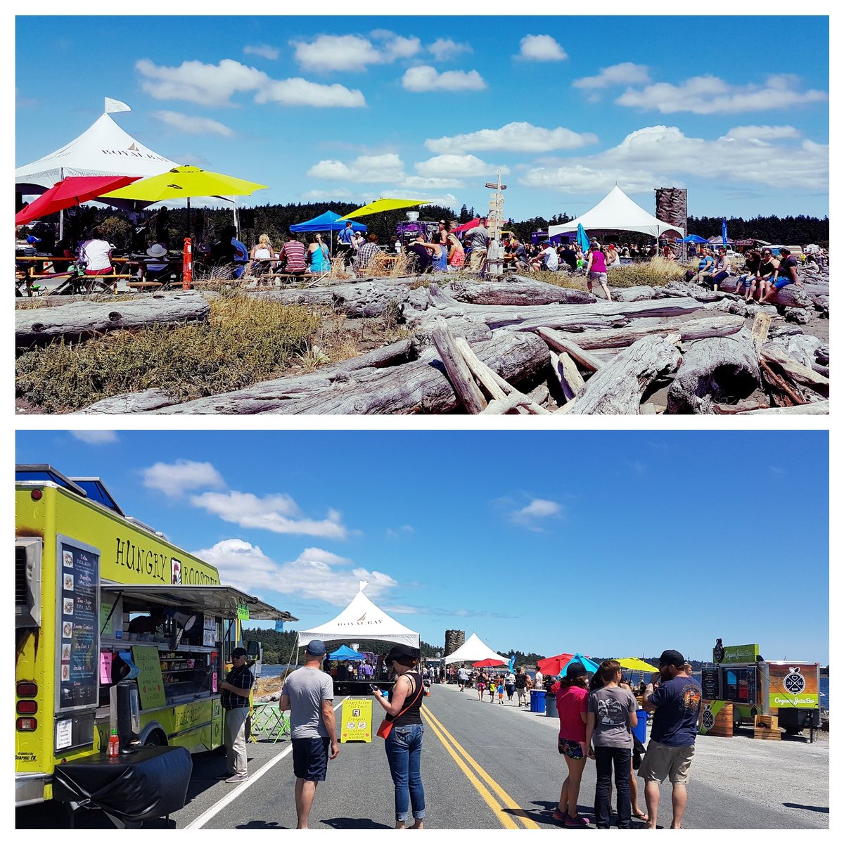 Hungry Rooster tweet media