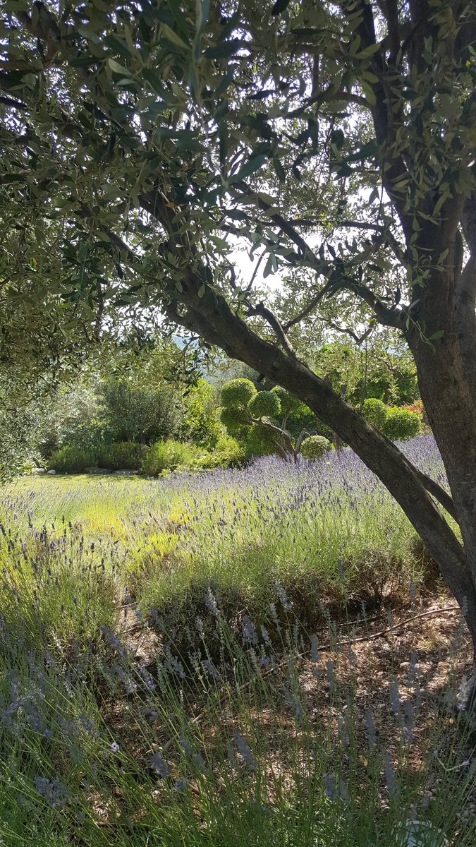 BDematteis06's tweet photo. #Cannes #nicemoment #Golf https://t.co/OTMQT8FABP