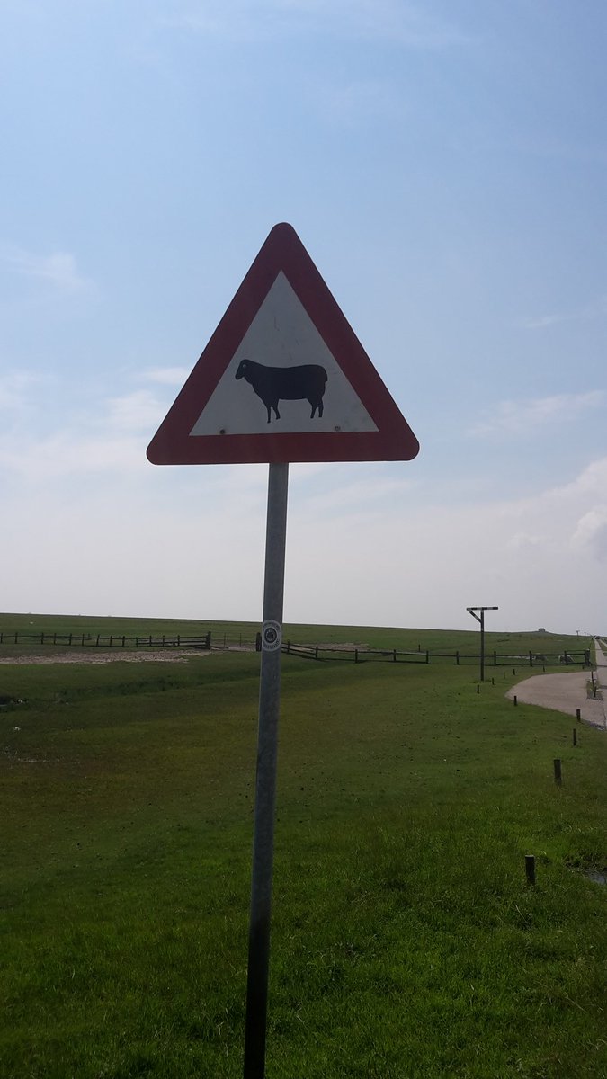 Alexander Klein tweet media