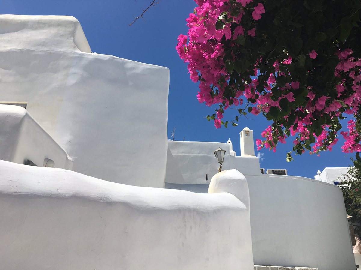 flavinova's tweet photo. Une jolie journée ensoleillée!!! Mykonos... ❤️ #cruise #nurselife #Breizhtouch https://t.co/LV8vePyV86