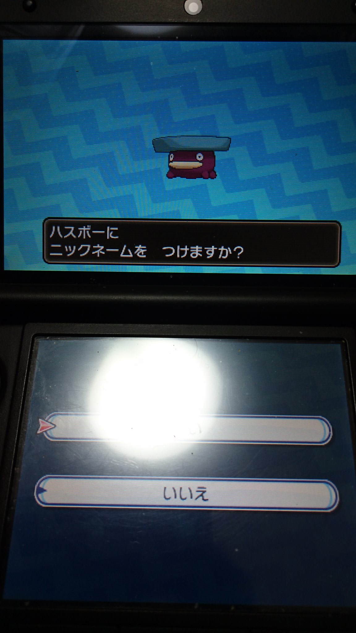 色違い報告 Twitter