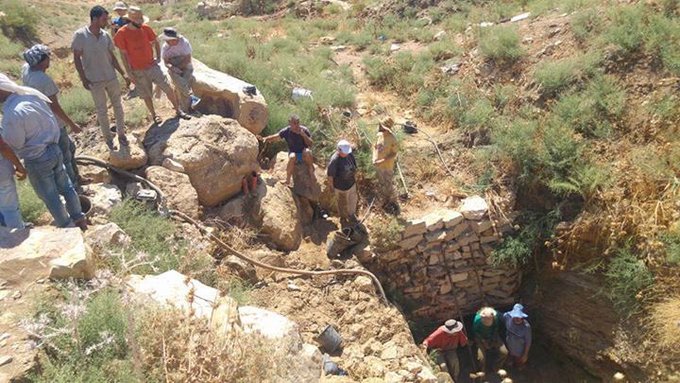 View image on Twitter