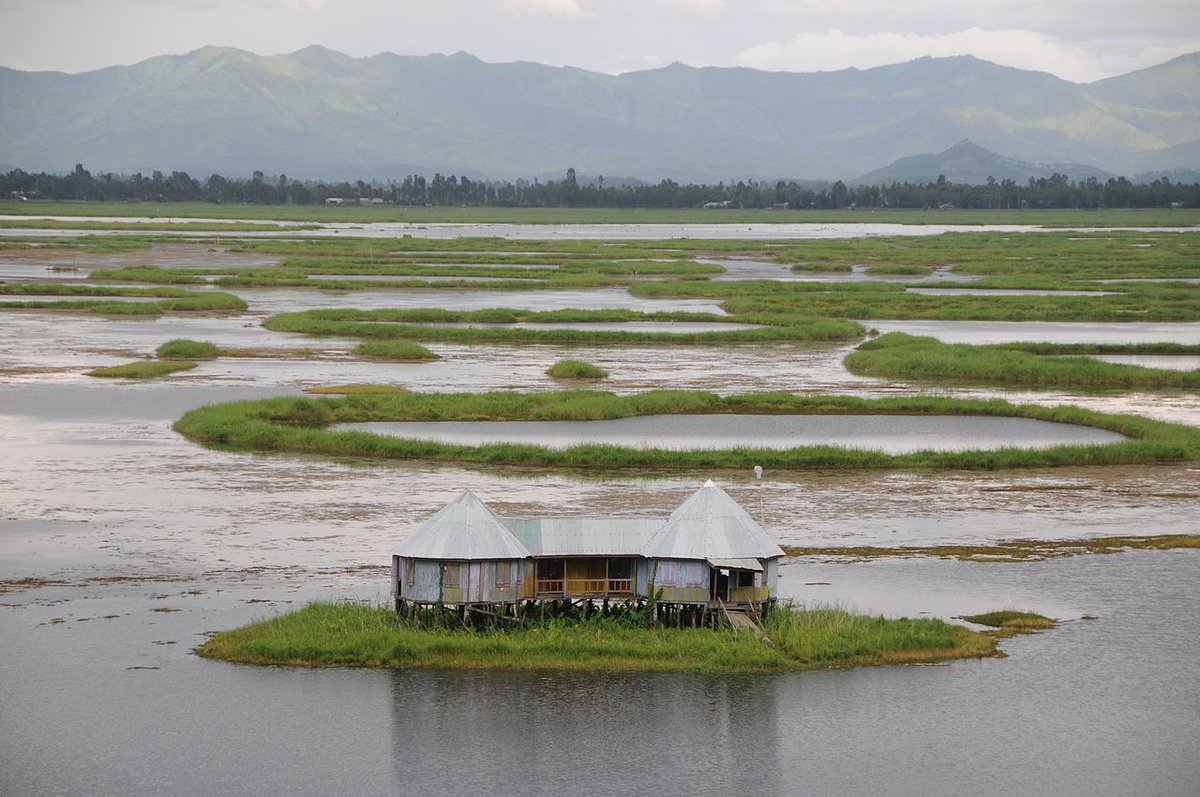 Loktak Lake in Manipur has the world’s largest floating park named Keibul Lamjao National Park #IncredibleNorthEast