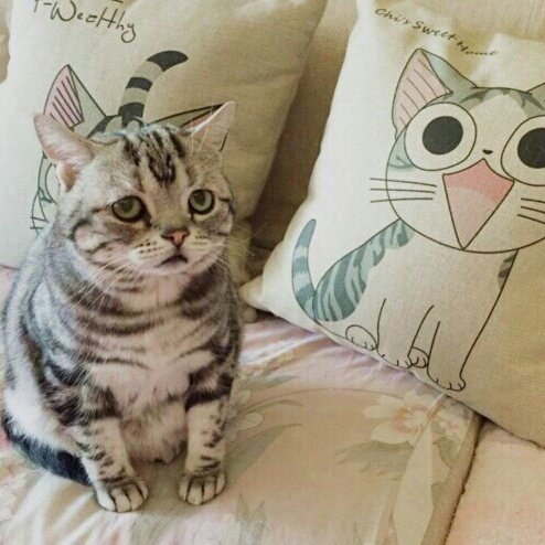 sofiya5678's tweet photo. #НоваяАватарка https://t.co/tJrrtm3xr8