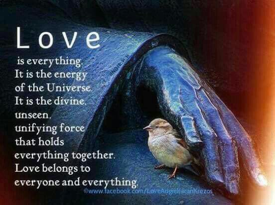 #Love is the unifying force that holds EVERYTHING together! #JoyTrain #Joy #Peace #BeLove RT @HumbleIndian