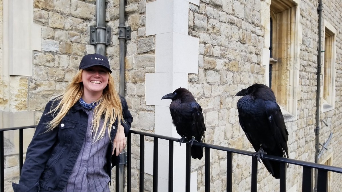 mdietzweb's tweet photo. Amazing time in England, Ireland, wow! https://t.co/ht8hUPQQXN