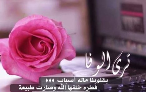 S_666m's tweet photo. نمنا 
على صدرالوفاء طول الأزمان
ولمَّا 
صحينا مالقينا سوى أحزان
#سهام🎵 https://t.co/GnkBS5X0Pk