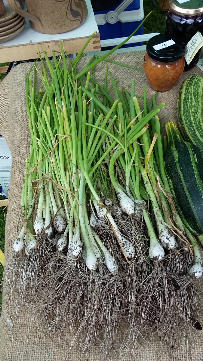 howardfarm's tweet photo. @Asslossgarden2  with @howardfarm @SlowFoodWScot  at #Assloss community garden open day   on  until  16.00 https://t.co/1CafnGLCaD