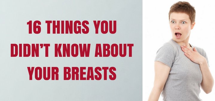 cupmysize's tweet image. Breasts are one of the most attractive parts of female body.  Here are 16 Interesting Facts About Breasts - go.shr.lc/2s5HJXT