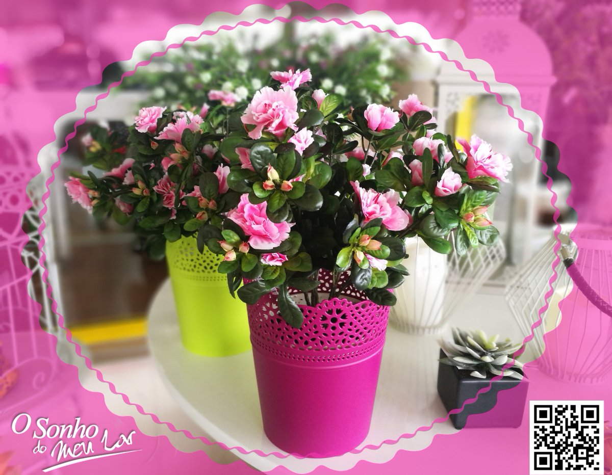 osonhodomeular's tweet photo. AZALEA (planta artificial)
#azalea #plantaartificial #plantasartificiais #interior2017 #decor2017 #decoração #osonhodomeular https://t.co/0LdMos1x92