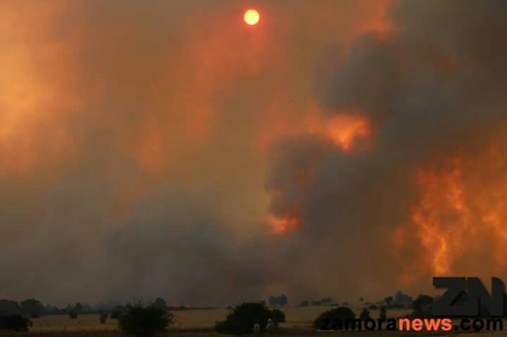 EeA_Salamanca's tweet photo. El fuego de ayer en Pino del Oro (Zamora) ha sido intencionado. 2000h de encina y monte arrasadas Muchas vidas perdidas. #FuegoTragedia https://t.co/ewTL1FZoNY