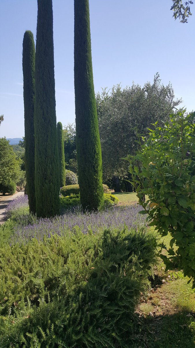 BDematteis06's tweet photo. #golfterreblanche https://t.co/GWhQDhBegy