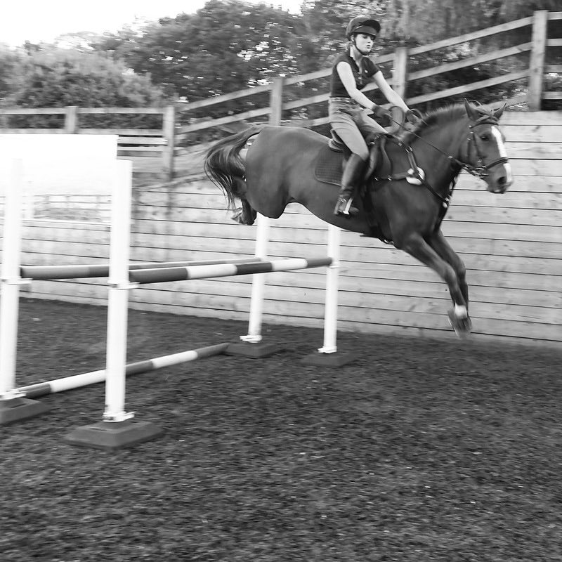 EventingStudent's tweet photo. Horses give you wings 🕊 https://t.co/qA40q7oNNE