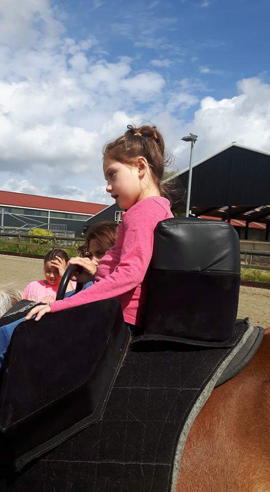 Thirza met de nieuwe rugsteun #paardrijden #gehandicapten
<a href="/FNRS_ondernemer/">FNRS - ondernemers</a>  KNHS