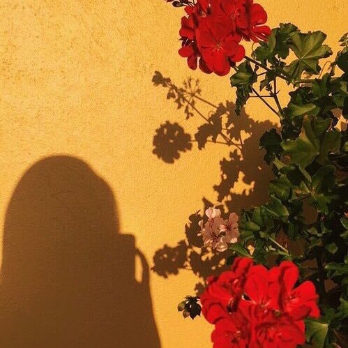 selena as roses (@rosesaselena) on Twitter photo 