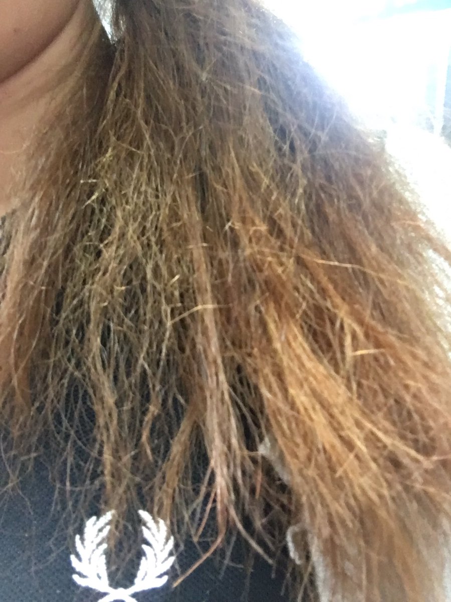 somegirlsomeday's tweet photo. go hair นี่ช่วยได้จริงๆนะ คือเราไปยืดผมละปลายช็อตเว่อพังมาก หลังสระผมเป่าหมาดๆก็ชะโลมนางไปเลยค่ะ ย้ำปลายผมไปเลย #ไว้รีวิวห้ามขายของโว้ยย https://t.co/aIORv0zb9l
