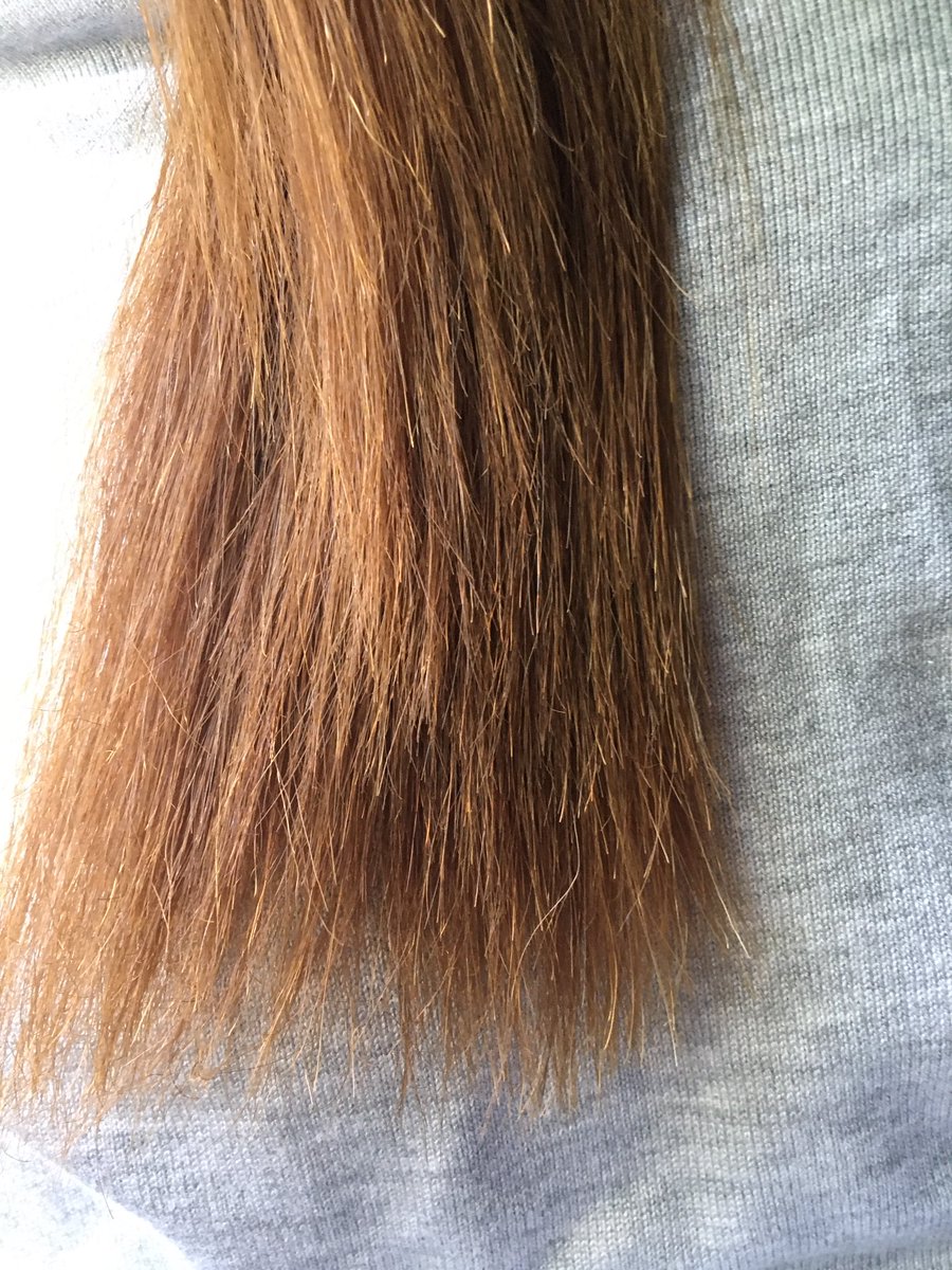 somegirlsomeday's tweet photo. go hair นี่ช่วยได้จริงๆนะ คือเราไปยืดผมละปลายช็อตเว่อพังมาก หลังสระผมเป่าหมาดๆก็ชะโลมนางไปเลยค่ะ ย้ำปลายผมไปเลย #ไว้รีวิวห้ามขายของโว้ยย https://t.co/aIORv0zb9l