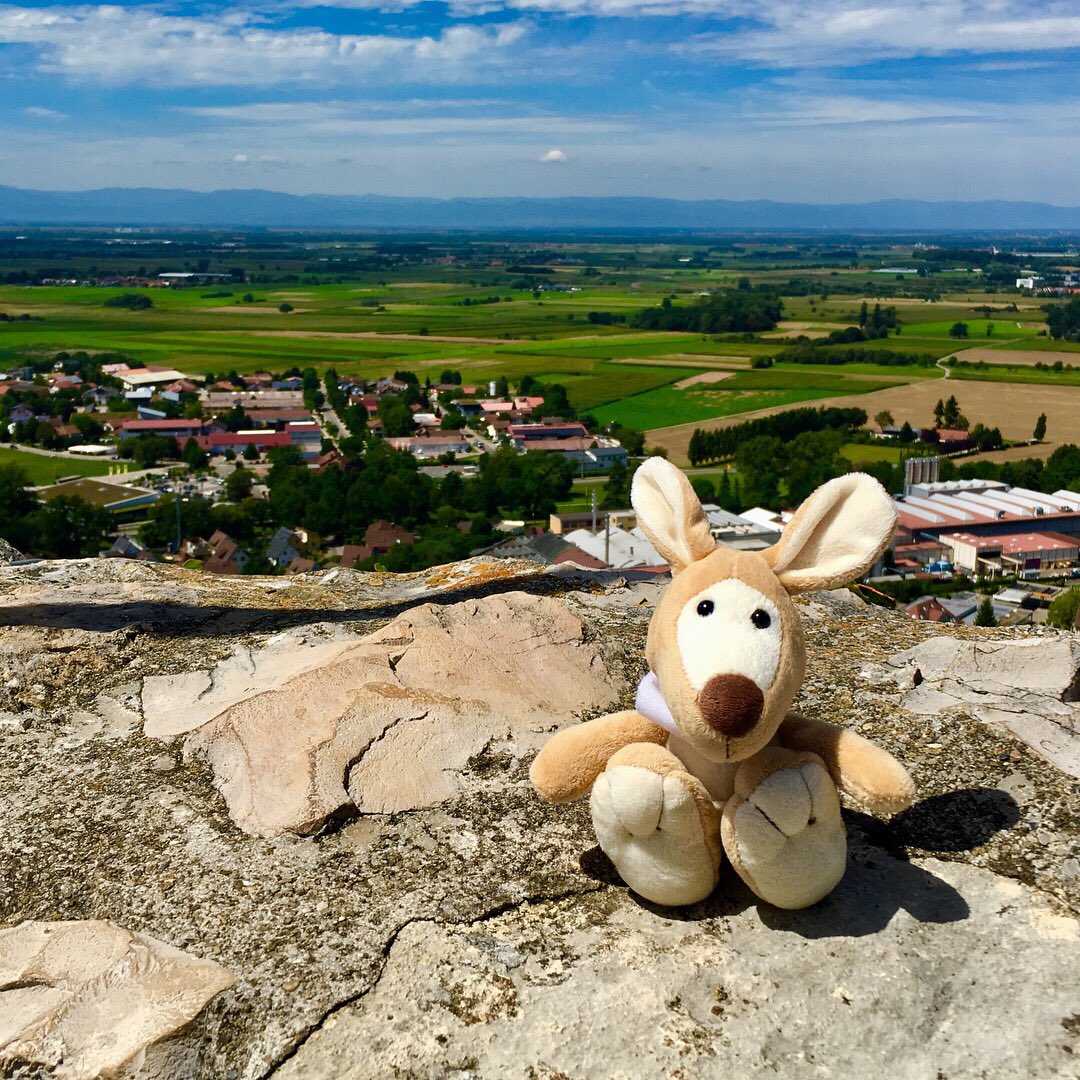J_R_MUC's tweet photo. #intrepidsydney visiting Staufen im Breisgau for some culture and drinks. #ibasydney @IBAevents https://t.co/CHpObqRUg5 https://t.co/uXCXZX0MG5