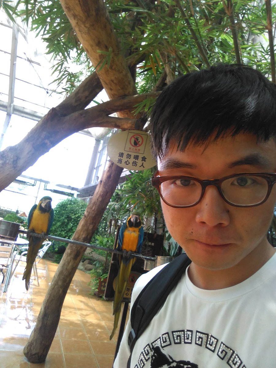 nirvanal_'s tweet photo. https://t.co/kFz2pO49cl